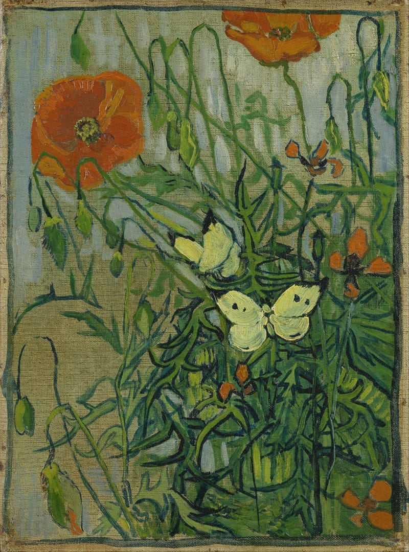 Vincent van Gogh - Butterflies and poppies