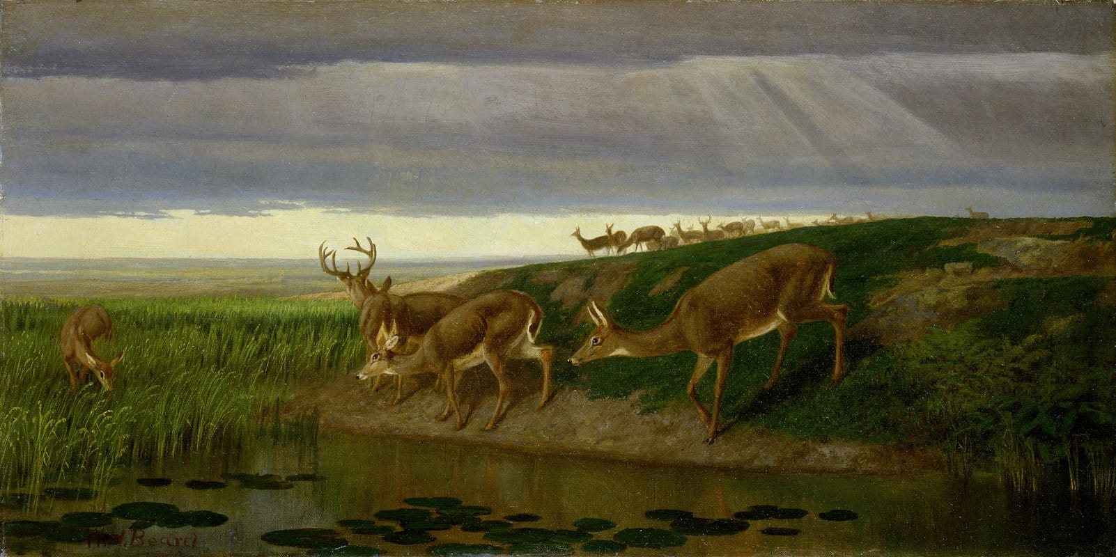 William Holbrook Beard - Deer on the Prairie