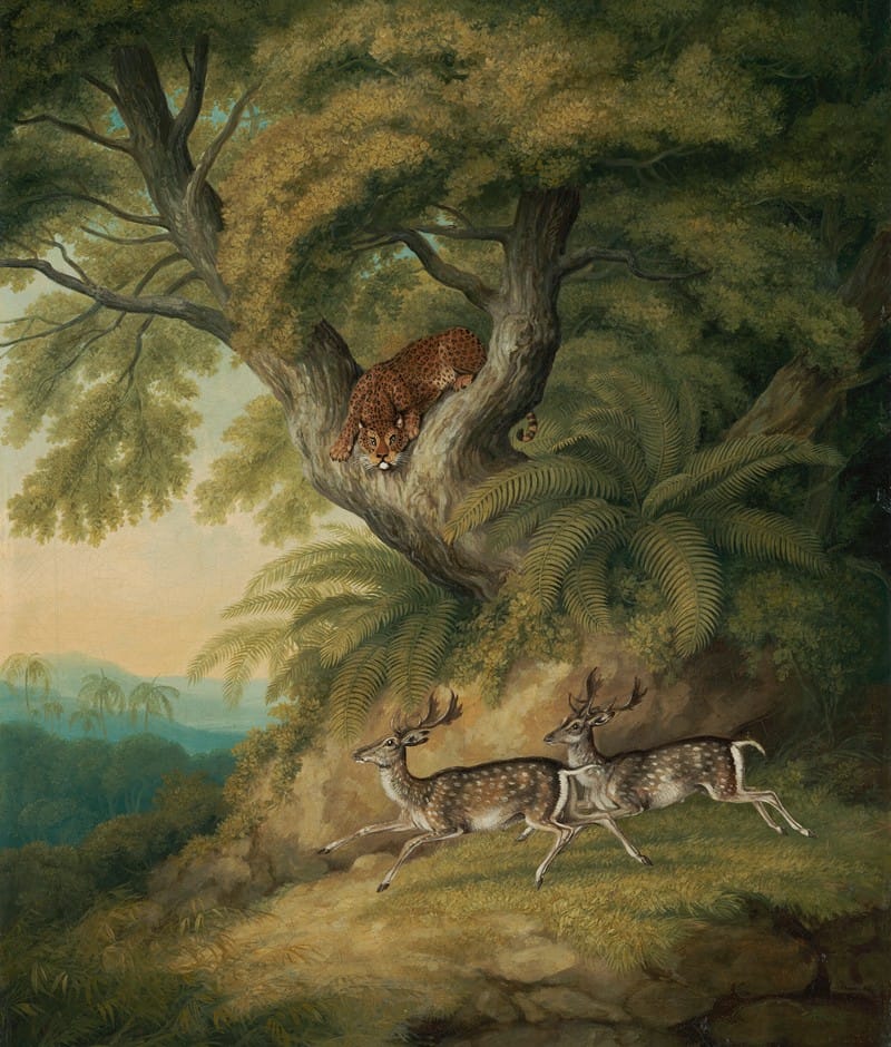 A Leopard with two passing deer