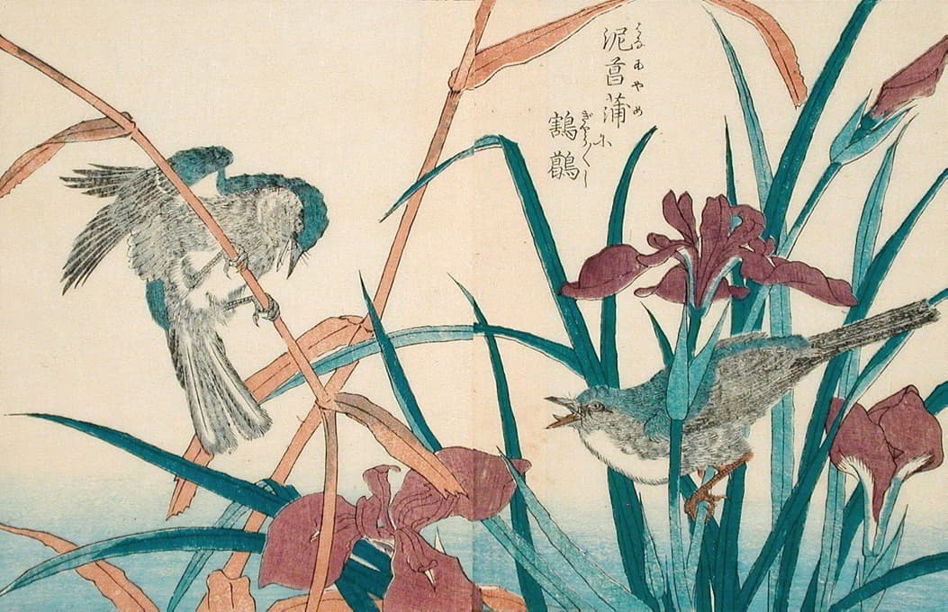 Kitao Shigemasa - Reed Warbler with Reeds and Iris