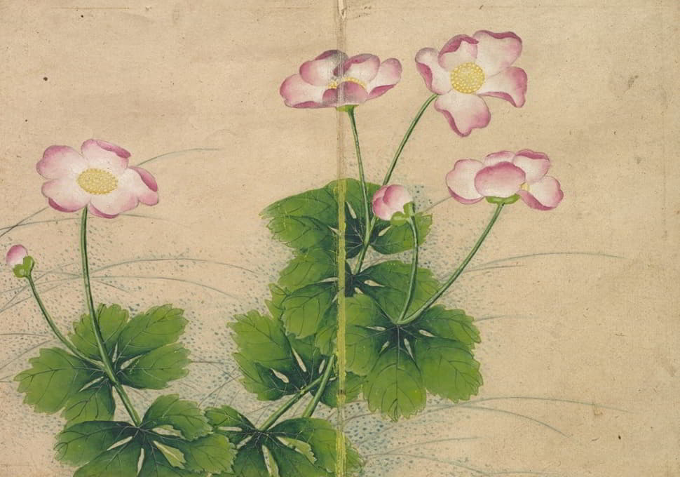 Zhang Ruoai - Mallow flowers