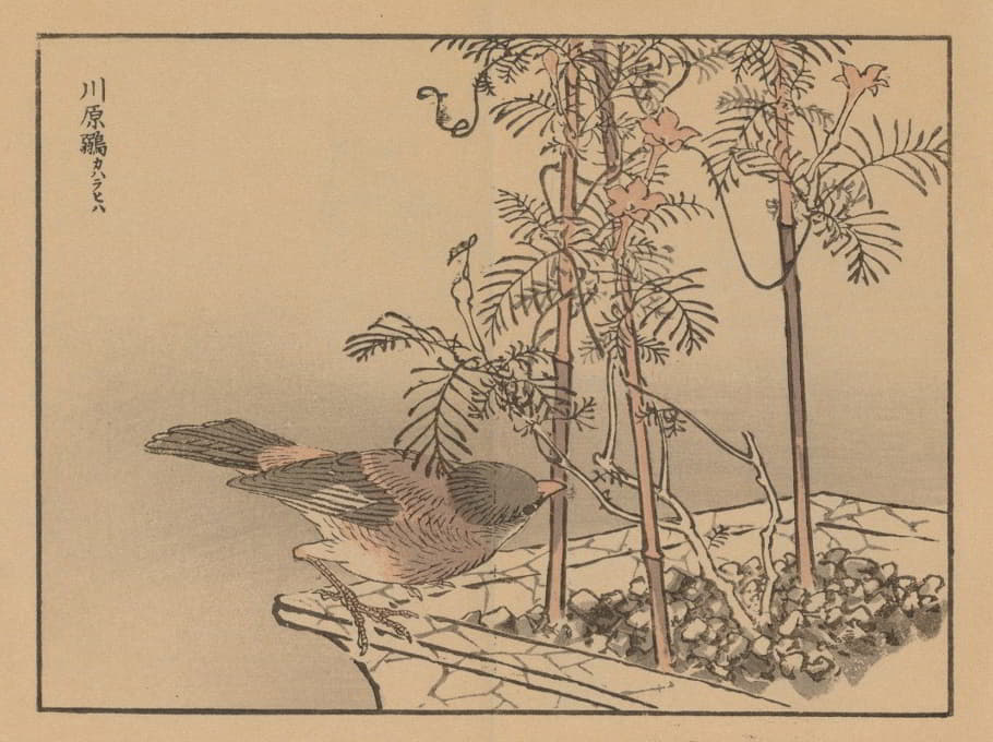 Kōno Bairei - Bairei gafu, Pl.30