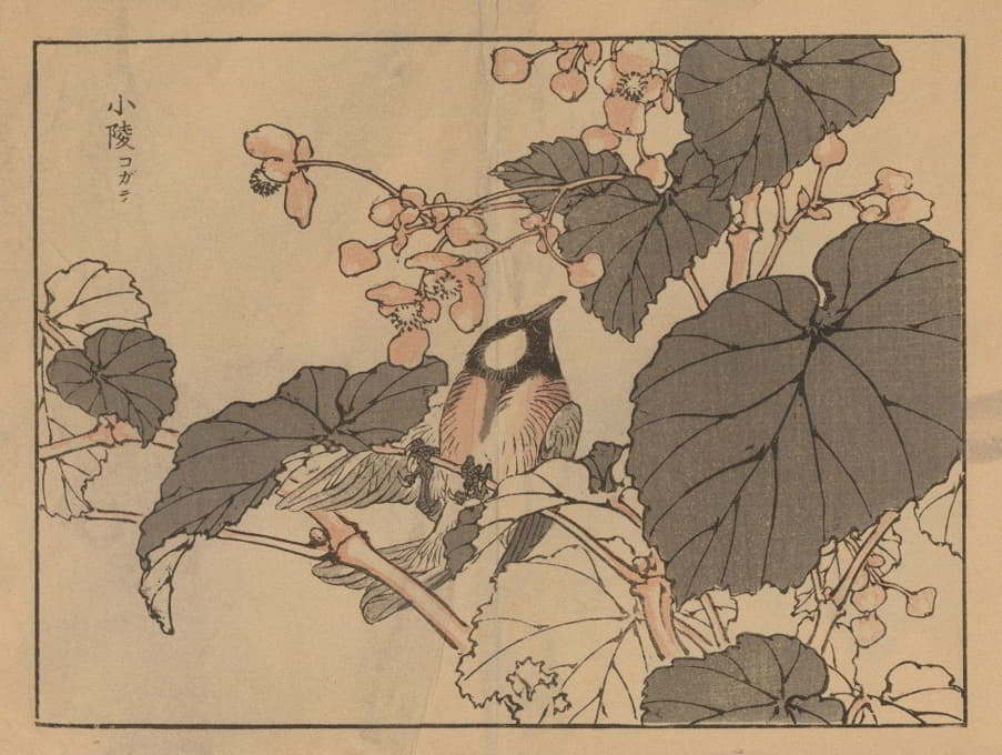 Kōno Bairei - 楳岭画谱, Pl.39
