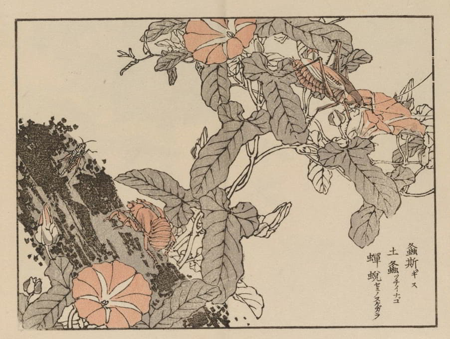 Kōno Bairei - 楳岭画谱, Pl.54