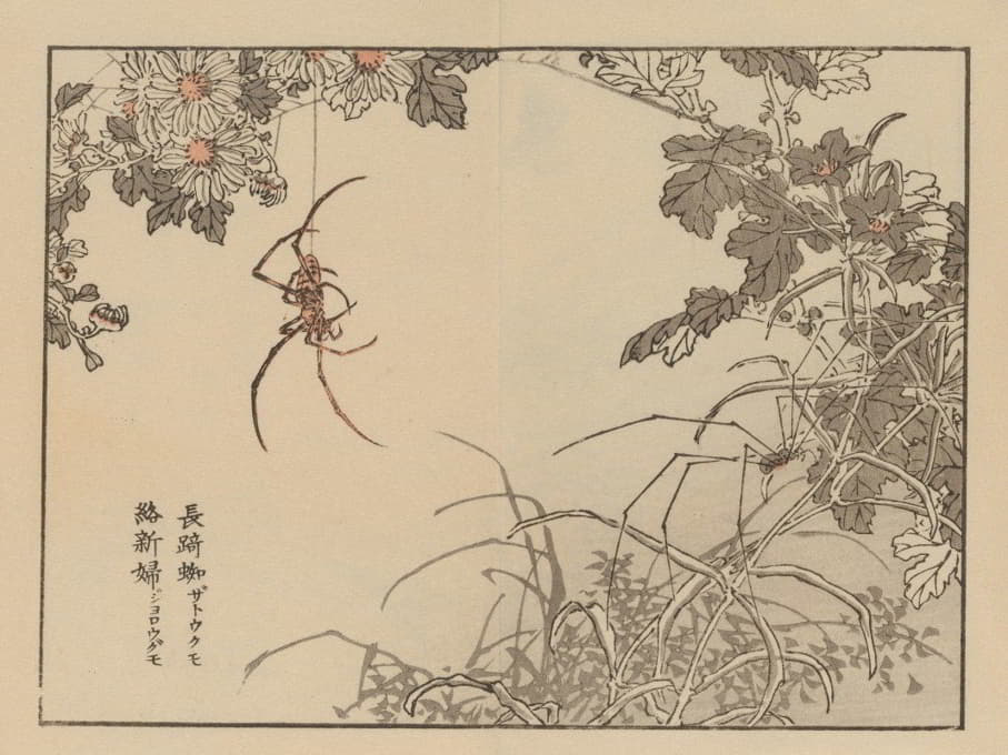 Kōno Bairei - 楳岭画谱, Pl.74