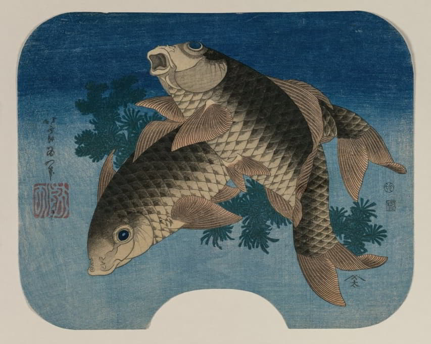 Katsushika Hokusai - Carp Swimming by Water Weeds