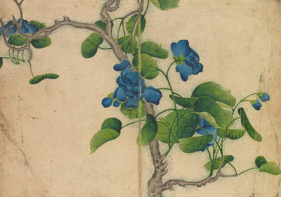 Zhang Ruoai - Climbing Blue Flowers