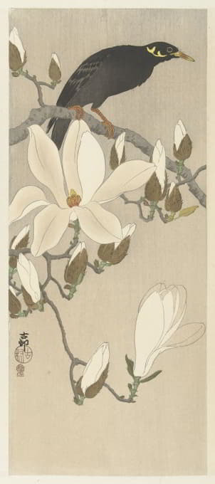 Ohara Koson - Myna on Magnolia Branch