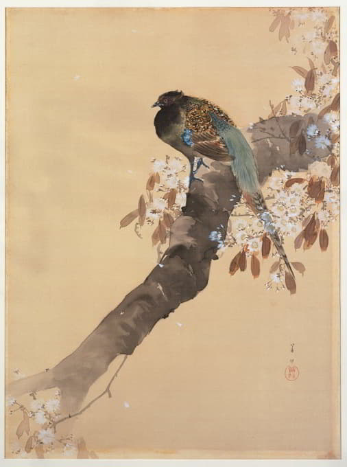 Ohara Koson - Pheasant on cherry blossom branch
