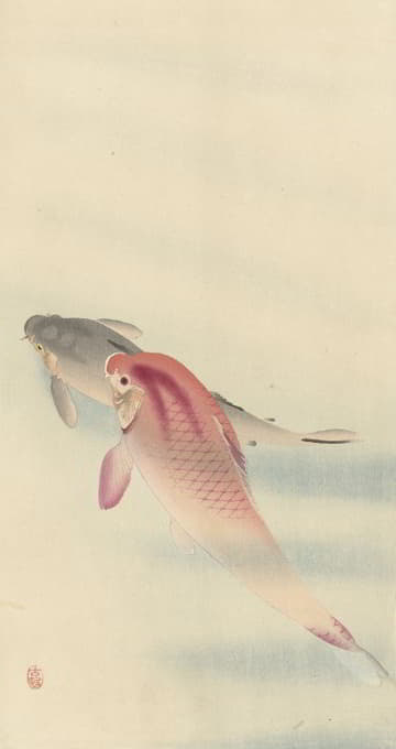 Ohara Koson - Two carp