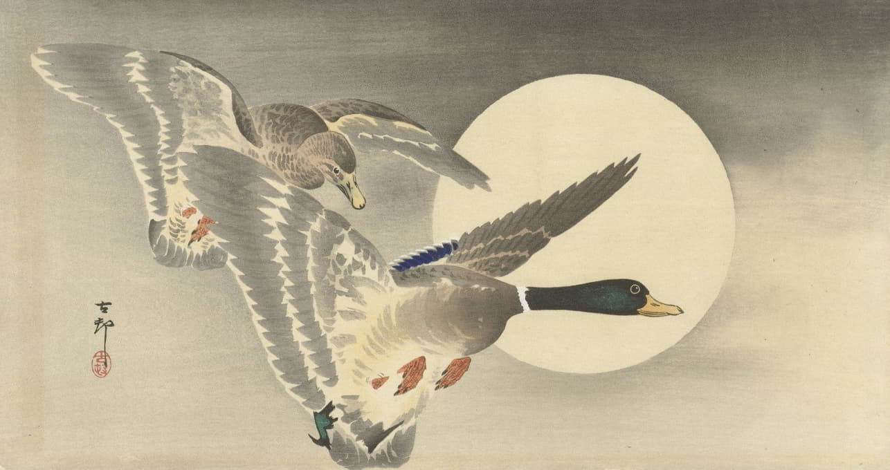 Ohara Koson - Two ducks at full moon