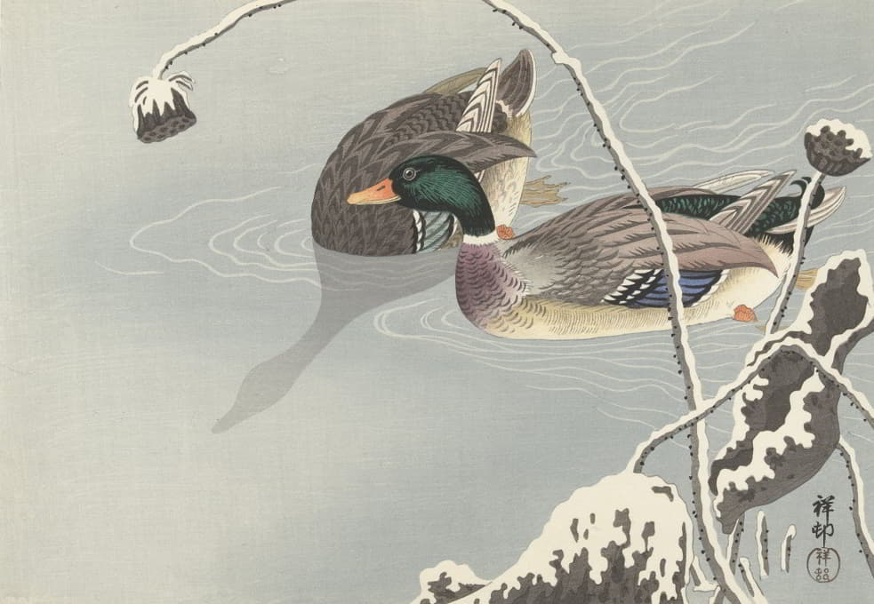 Ohara Koson - Two Mallards near a Snow-Covered Lotus,