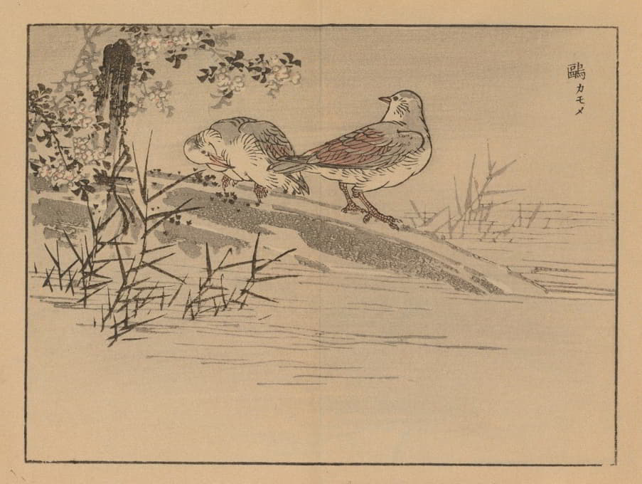 Kōno Bairei - 楳岭画谱, Pl.31