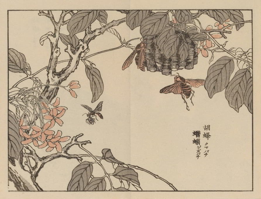 Kōno Bairei - Bairei gafu, Pl.55