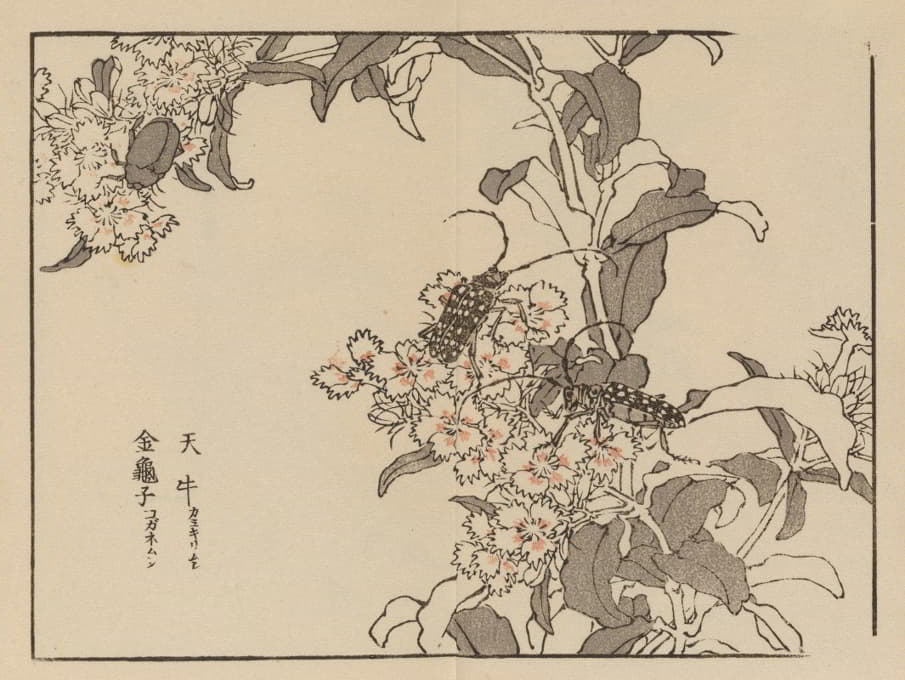 Kōno Bairei - 楳岭画谱, Pl.61