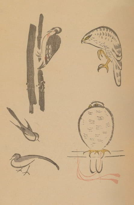 鸟兽略画式，Pl.26