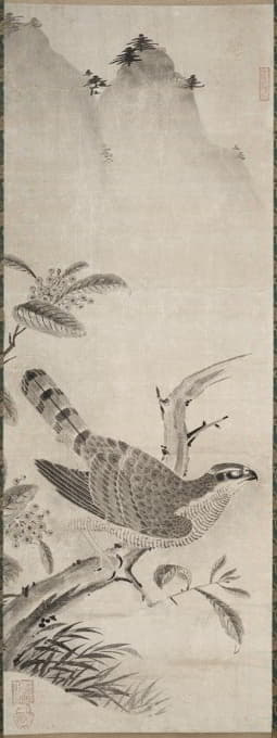 Fujiwara Masayoshi - Hawk