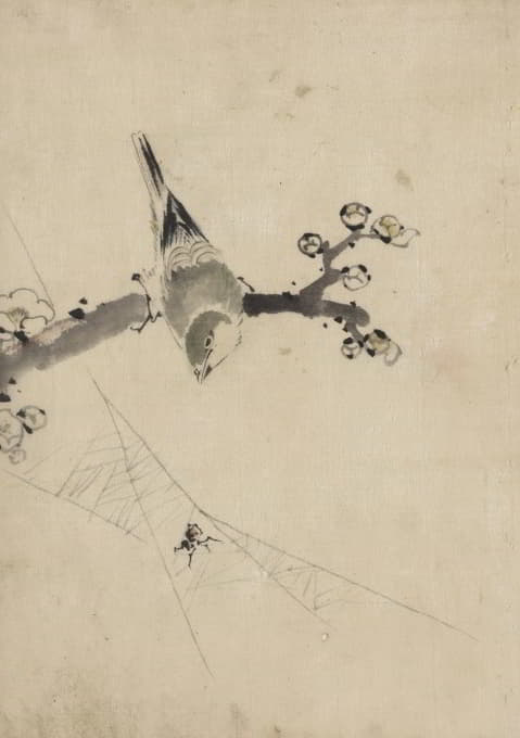 一只鸟栖息在开着花的树枝上，看着蜘蛛在网上