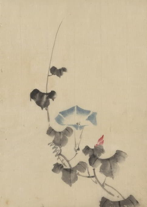 Katsushika Hokusai - Blue blossom of morning glory on vine