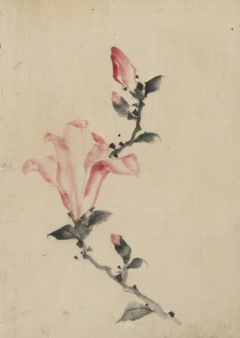 Katsushika Hokusai - Large pink blossom on a stem with three additional buds