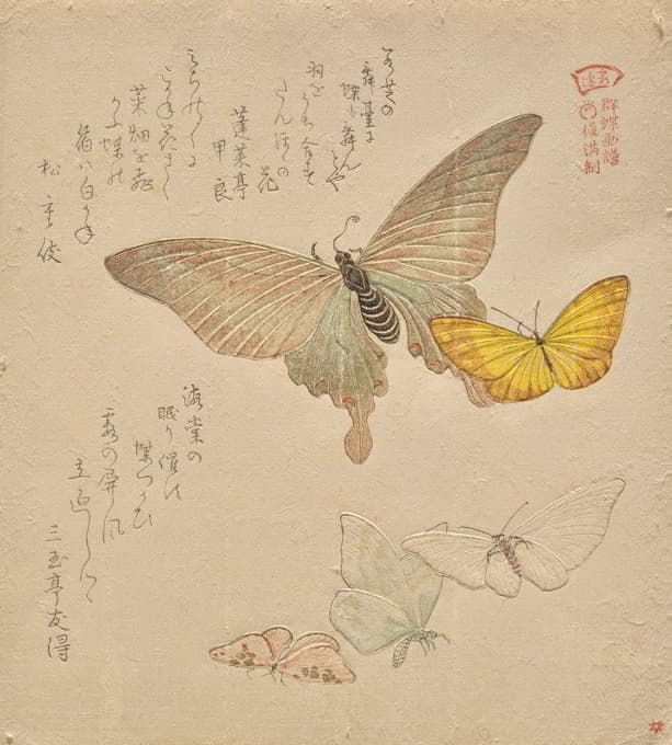 《蝴蝶群绘画手册》（GunchōGafu）2