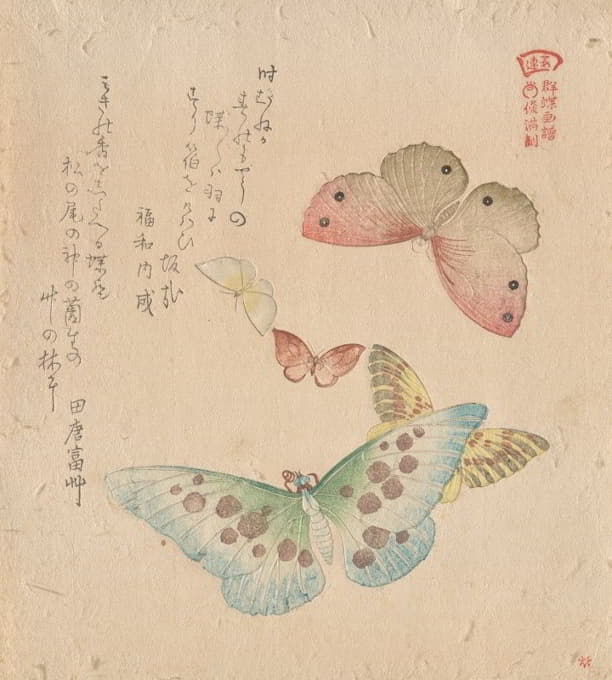 《蝴蝶群绘画手册》（Guncho，Gafu）