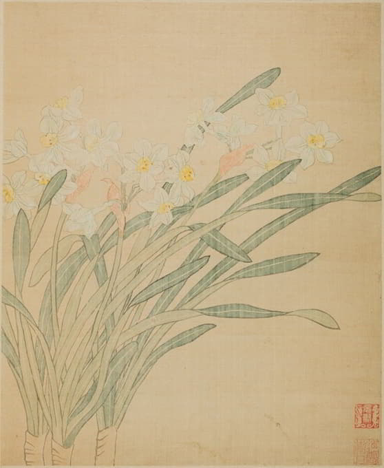 Ma Yuanyu - Narcissus