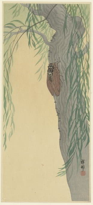 Ohara Koson - Cicada on tree