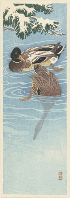 Ohara Koson - Flock of wild ducks in the water