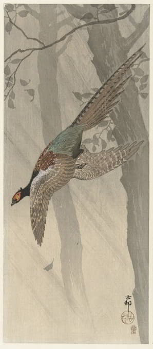 Ohara Koson - Flying pheasant