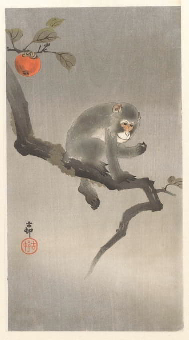 Ohara Koson - Monkey in kaki tree