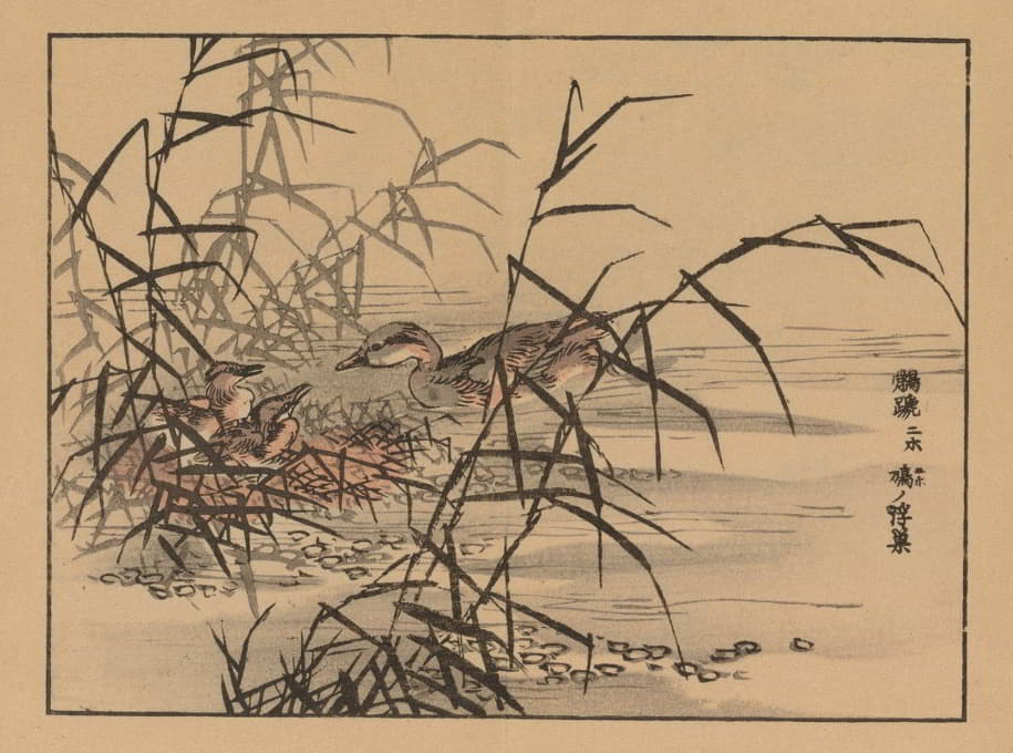 Kōno Bairei - 楳岭画谱, Pl.14