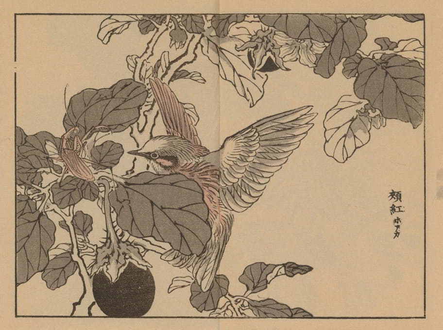 Kōno Bairei - 楳岭画谱, Pl.38