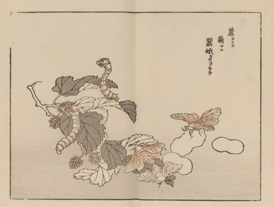 Kōno Bairei - 楳岭画谱, Pl.62