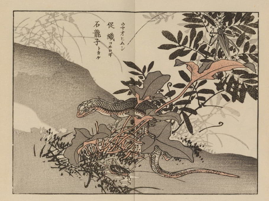 Kōno Bairei - Bairei gafu, Pl.66
