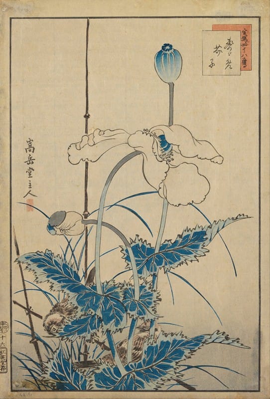 Sugakudo - Bird over Poppies