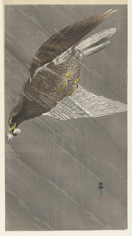 Ohara Koson - Eagle Flying Down