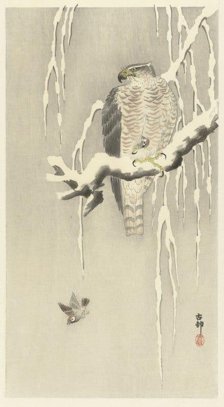 Ohara Koson - Hawk with captive tree sparrow