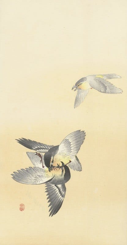 Ohara Koson - Two fighting birds