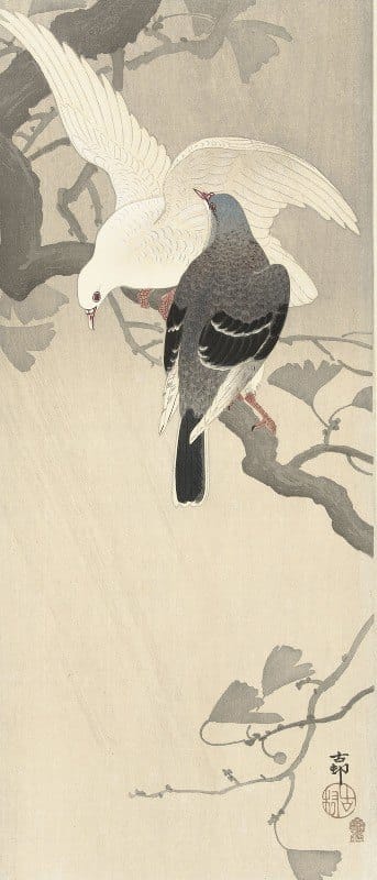 Ohara Koson - Two pigeons on a branch