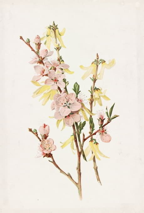 Alois Lunzer - Peach Blossoms and Forsythia