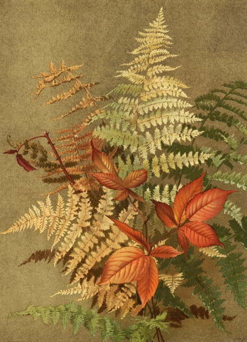 Ellen Fisher - Autumn Ferns
