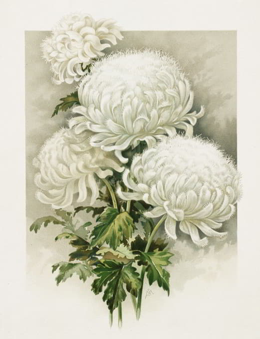 Ferdinand Schuyler Mathews - Chrysanthemums