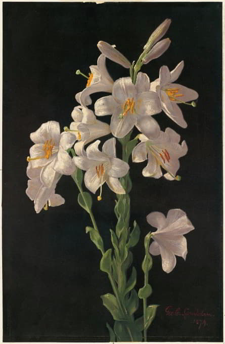 George Cochran Lambdin - Easter Lily