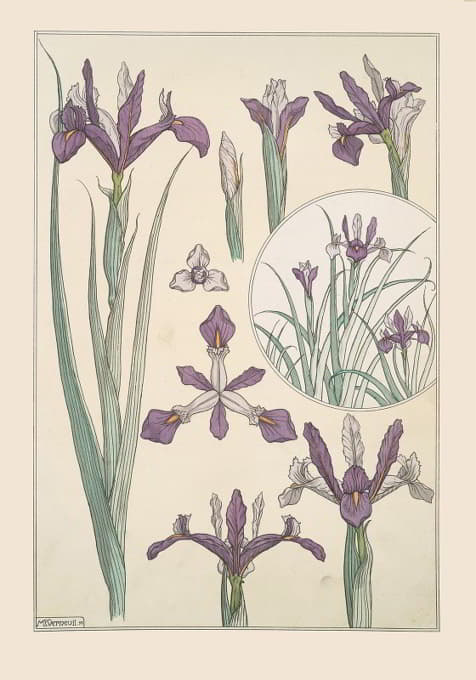 Maurice Pillard Verneuil - Iris