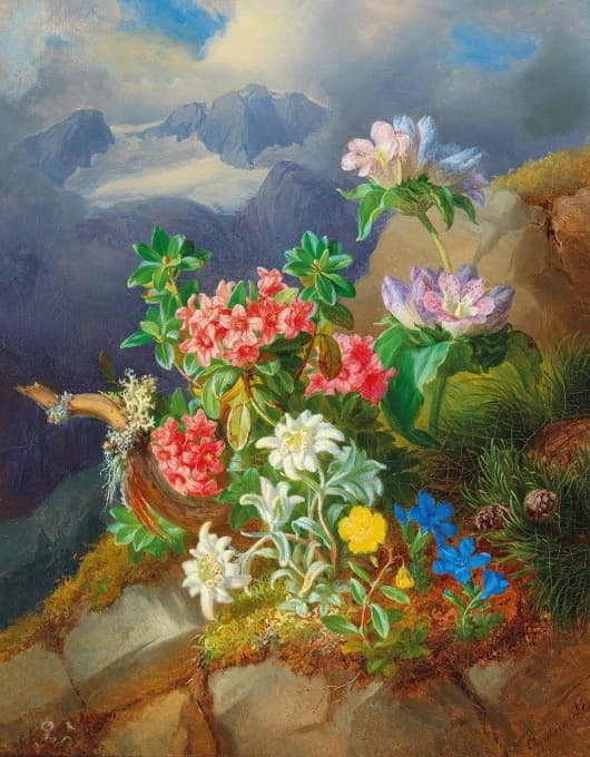 Andreas Lach - Alpine flowers