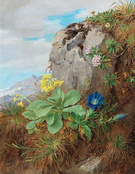 Anna Stainer-Knittel - Alpine Flowers
