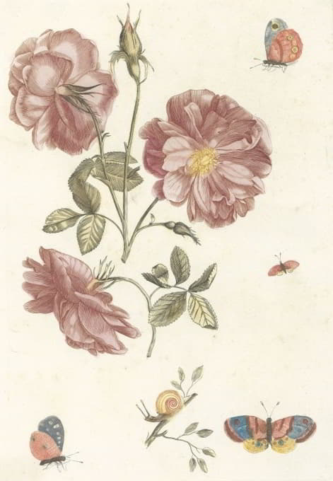 Anonymous - Twee takken met rozen, vier vlinders en een slak