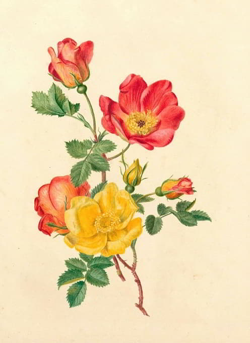 Antoinette Luden - Takje wilde rozen