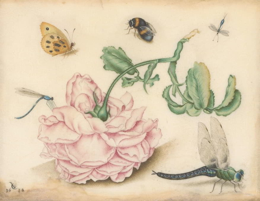 Christoffel van den Berghe - A Rose and Five Insects
